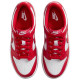 Nike Dunk Low (GS)